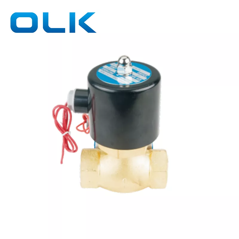 2L Buhar Solenoid Valfı 2 Yollu